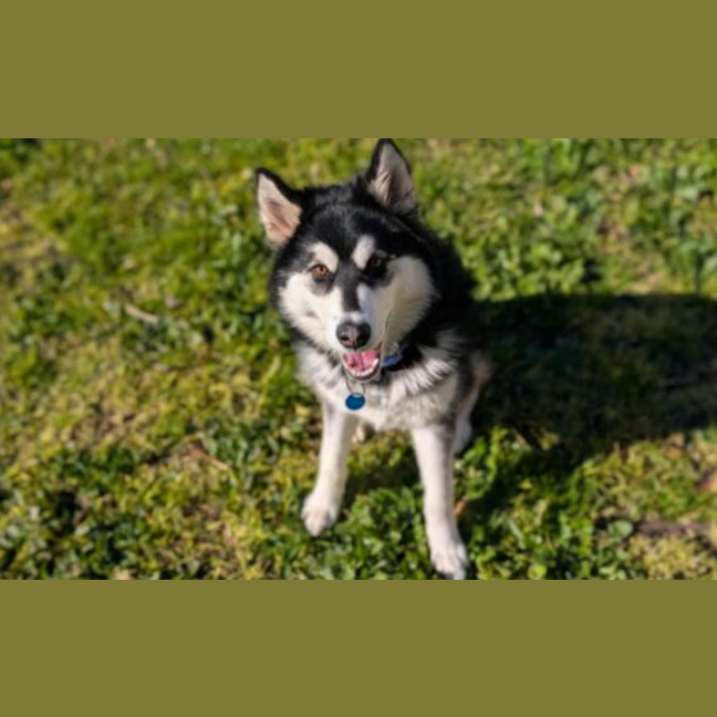 Photo of Korra