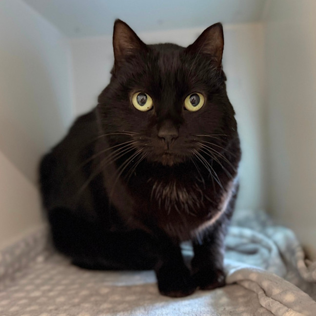 Photo of Tilly