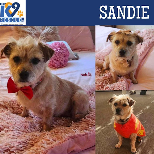 Photo of Sandie