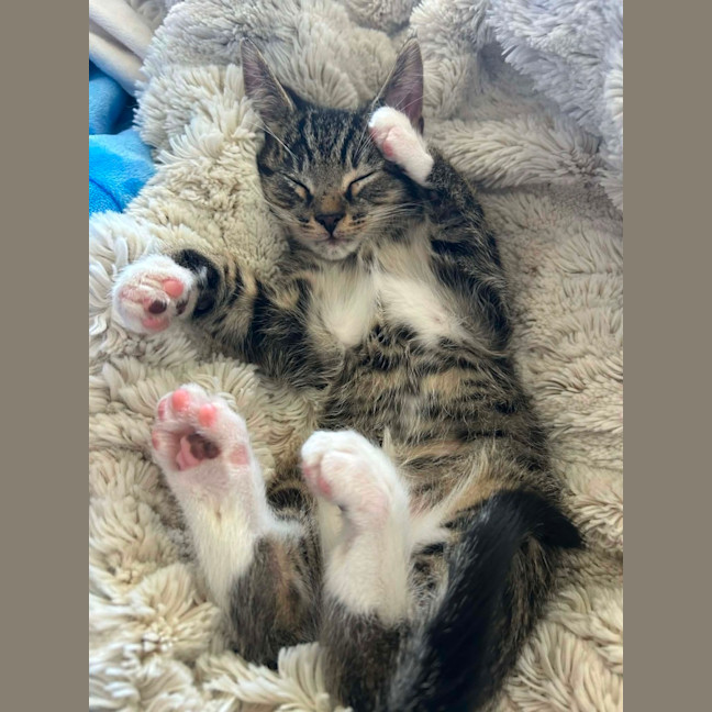 Photo of Olivia Benson & Elliot 