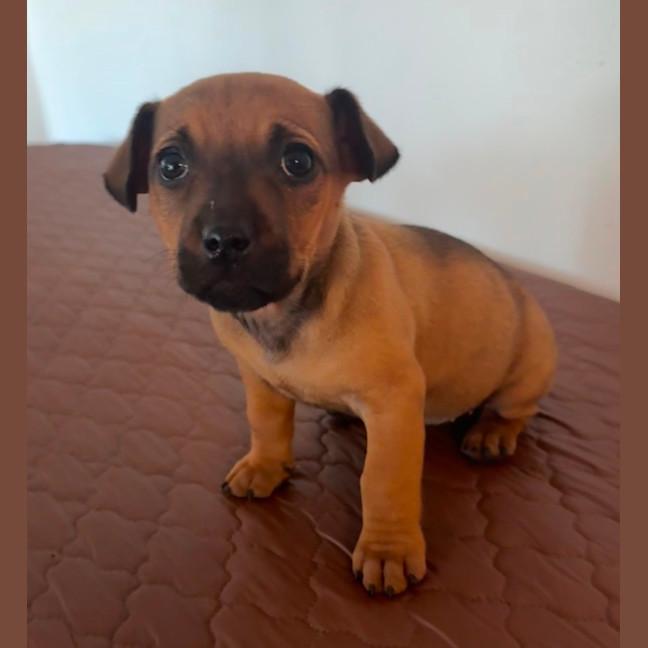 Photo of Crystal & Echo