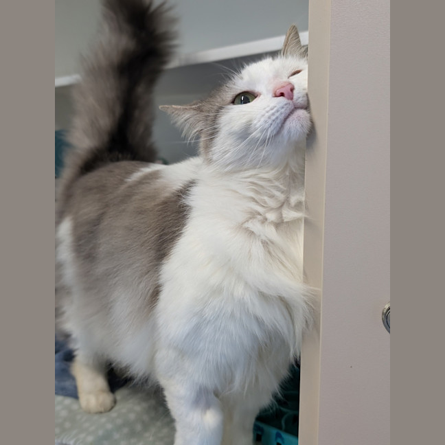 Photo of Patsy