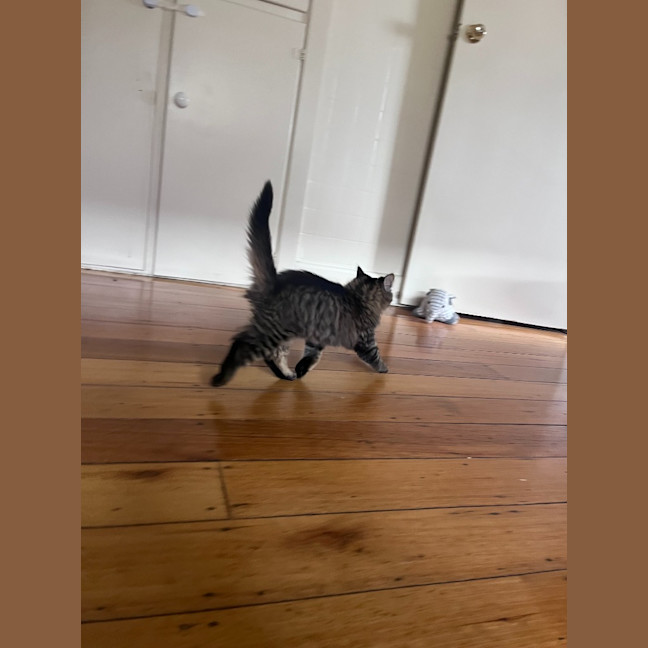 Photo of Percy