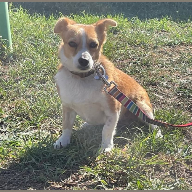 Photo of Alvin
