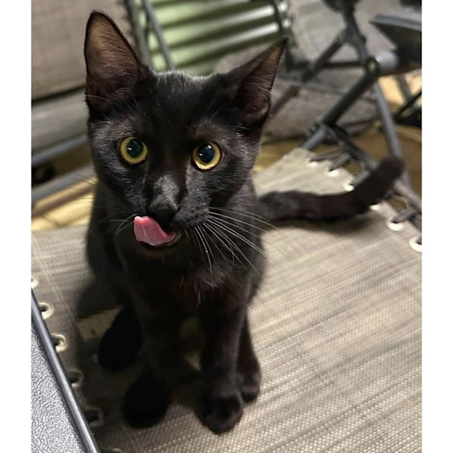 Photo of 11854   Winky