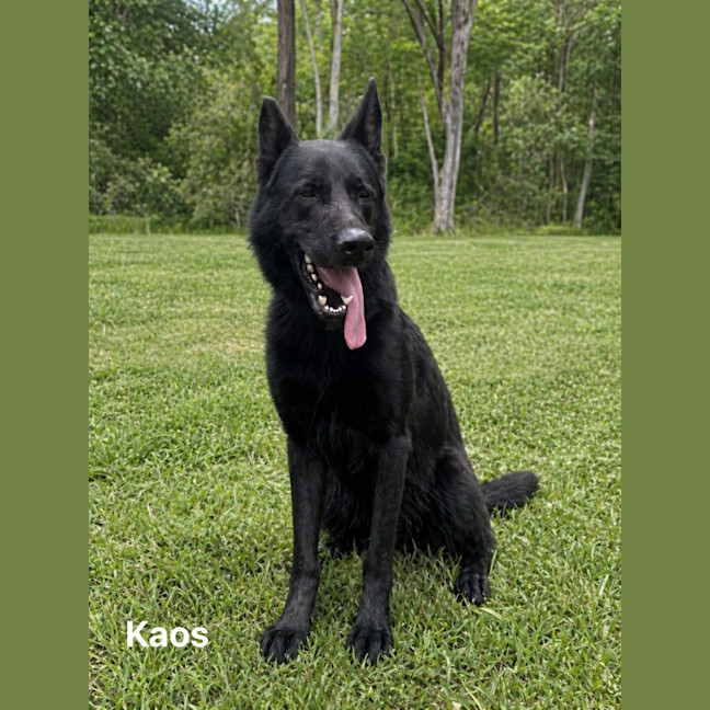 Photo of Kayo