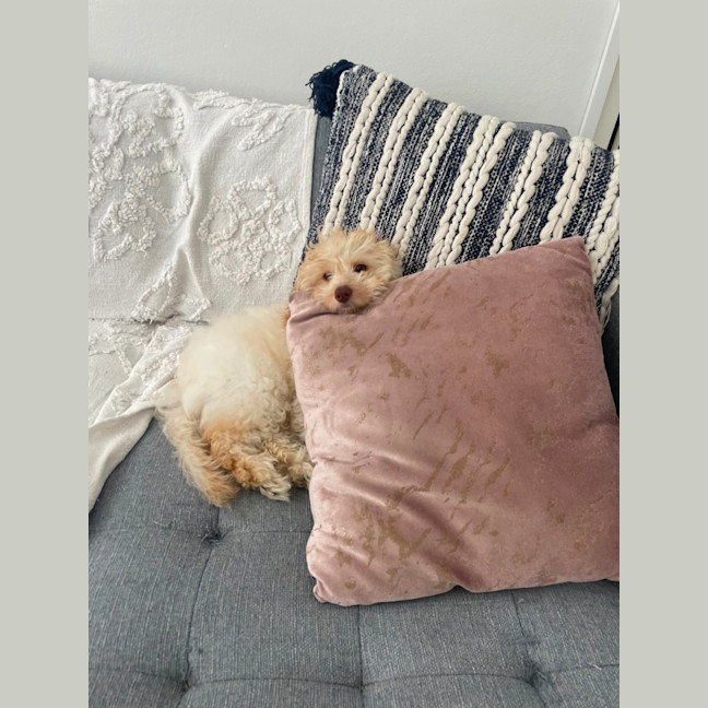 Photo of Mash