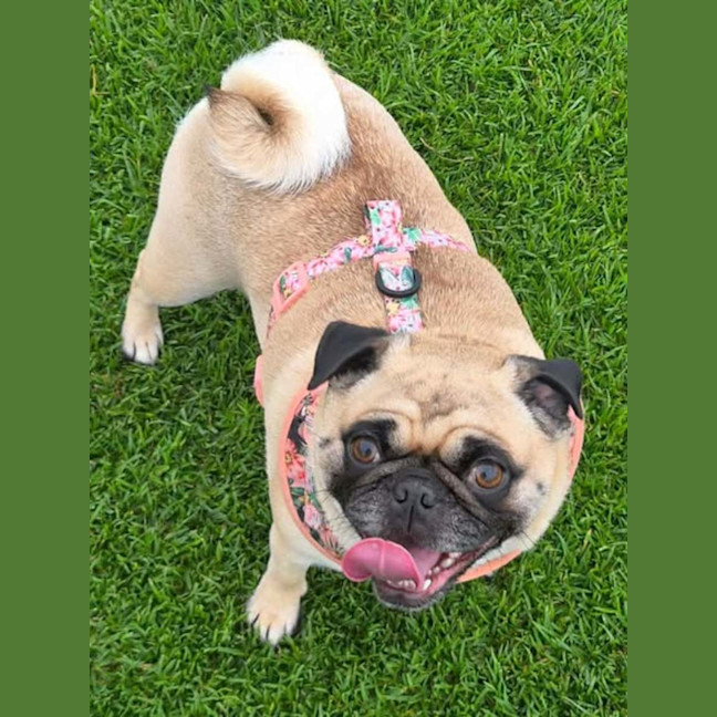 Photo of Miss Daisy