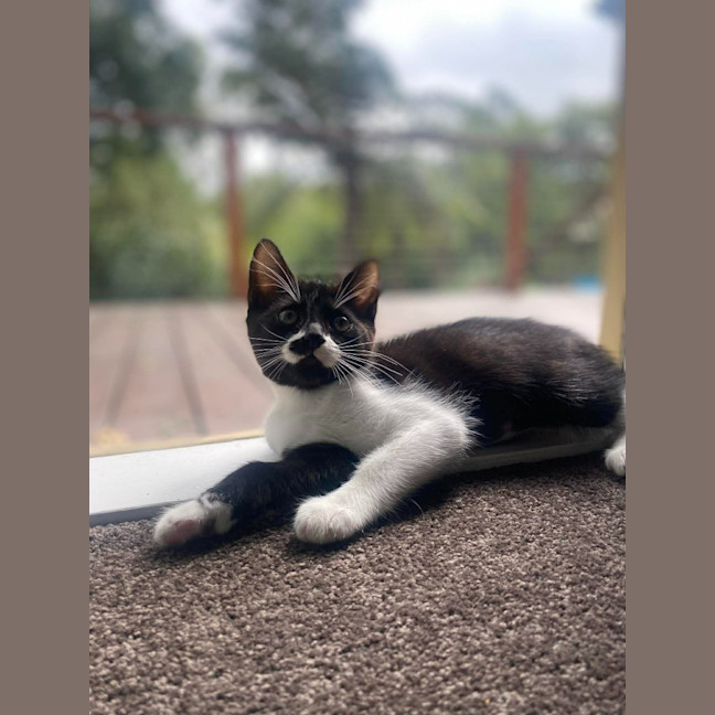 Photo of Mandy