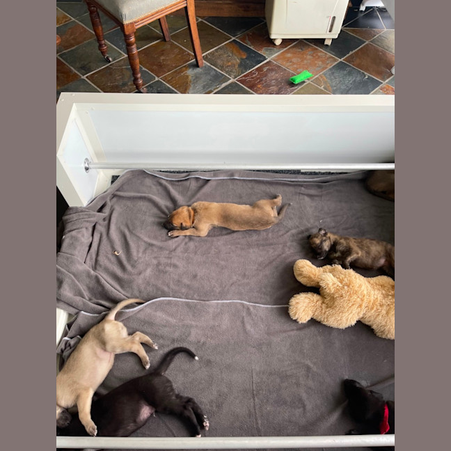 Photo of Tin Tin 27kg