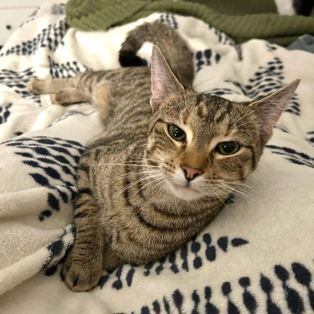 Photo of 11971   Oakley