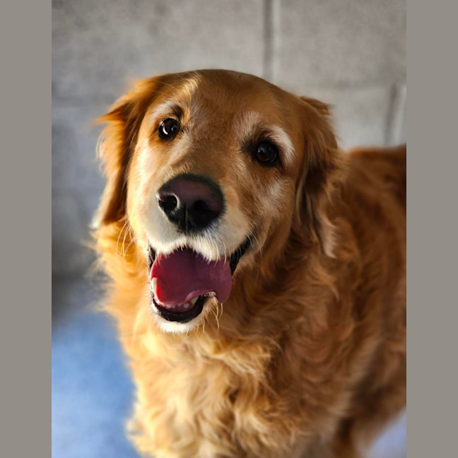 Photo of 🥇Wally 6678 🥇