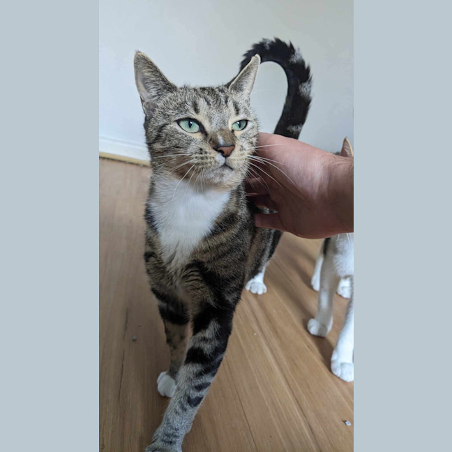 Photo of Oreo & Elisha 