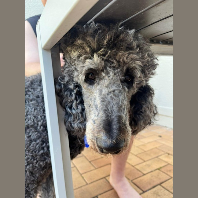 Photo of George And Bobby