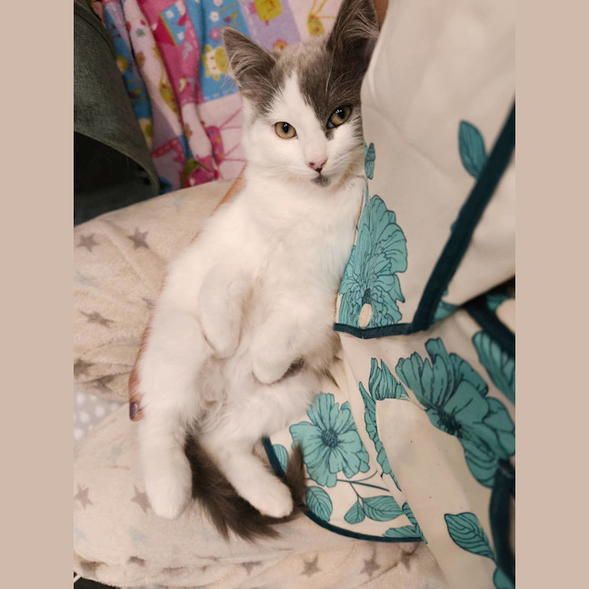 Photo of Bon Bon
