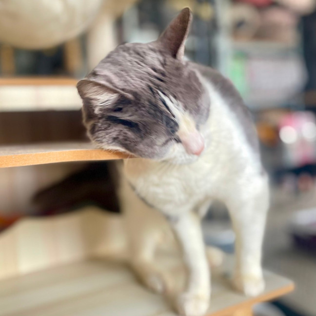 Photo of Bertha
