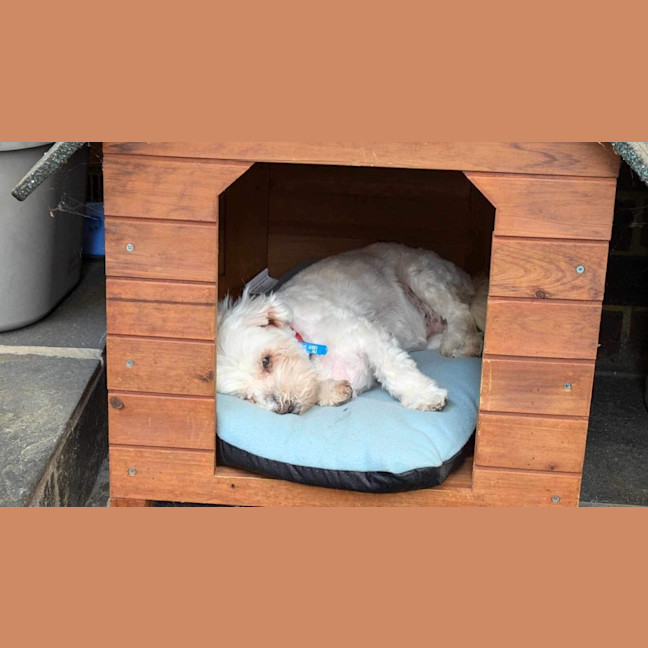 Photo of Bianca / Stella
