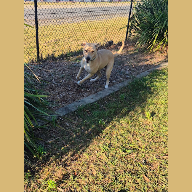 Photo of Narla (8063)