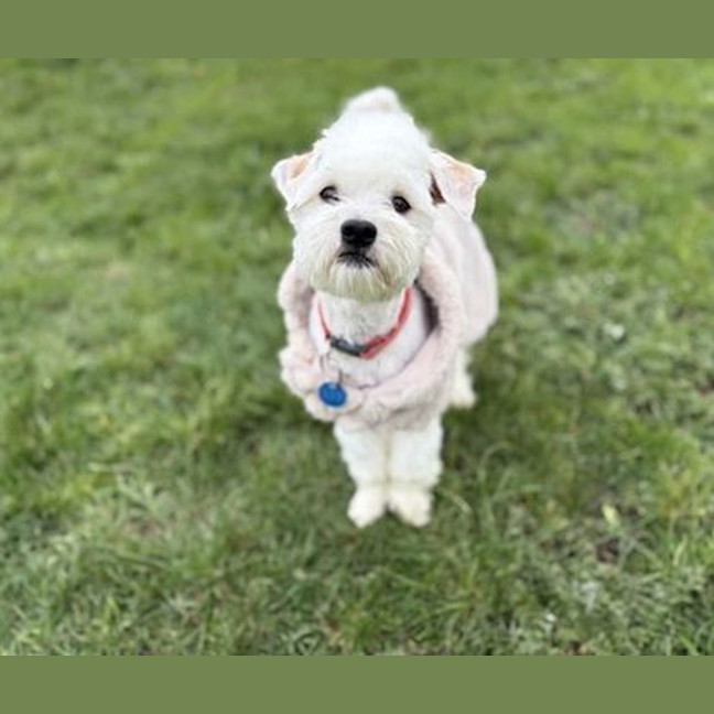 Photo of Snowy