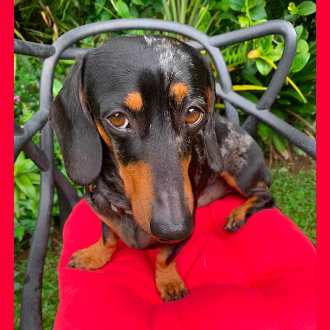 Photo of Hugo