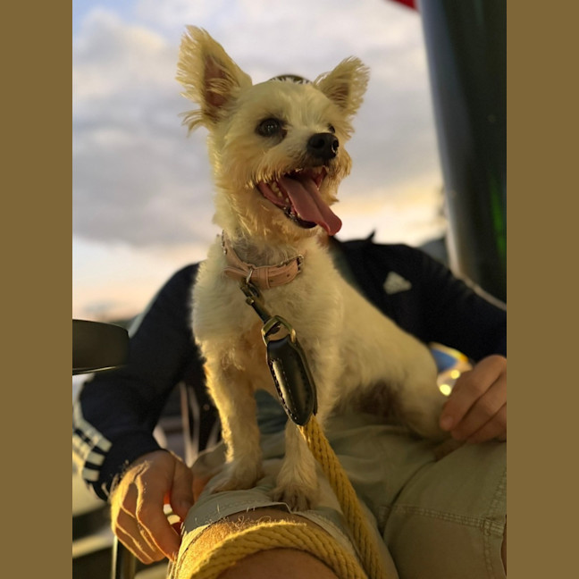 Photo of Cleo And Suki