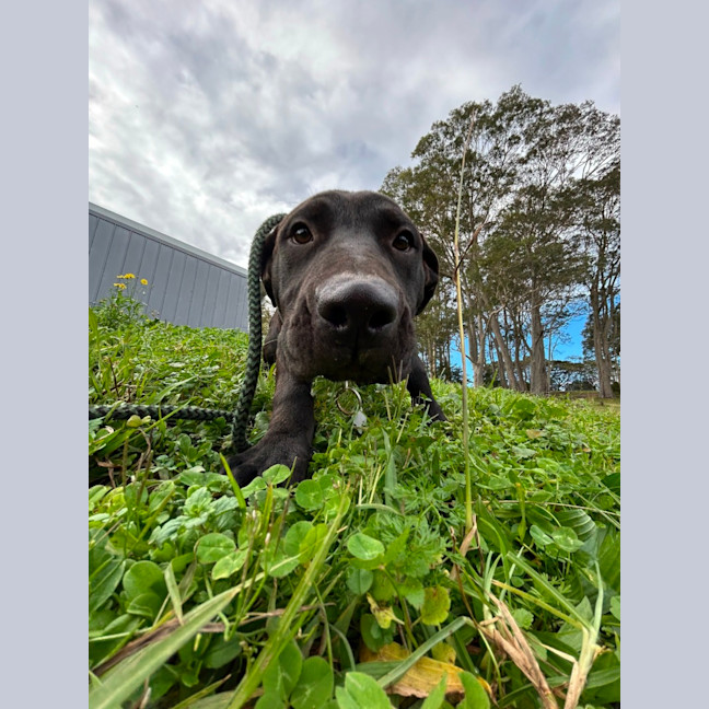 Photo of Sporty Spice