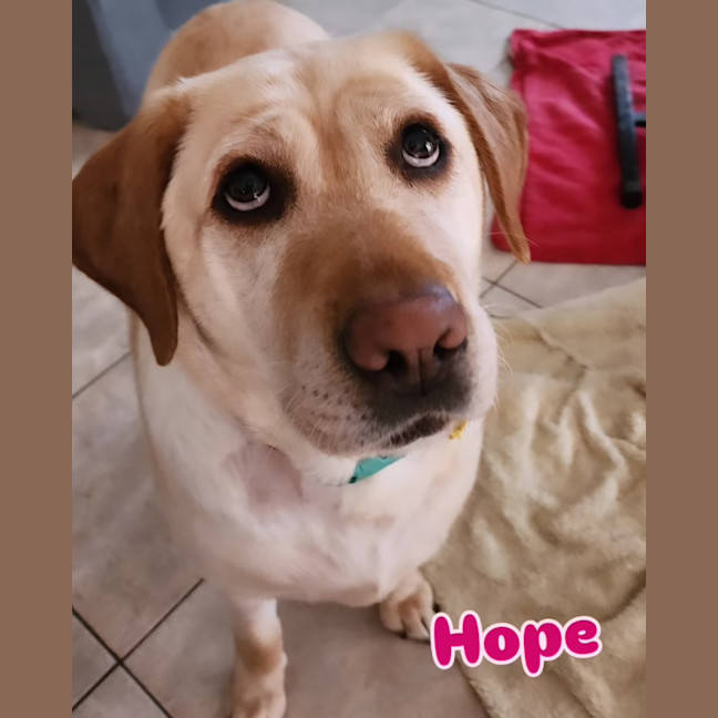 Photo of Hope