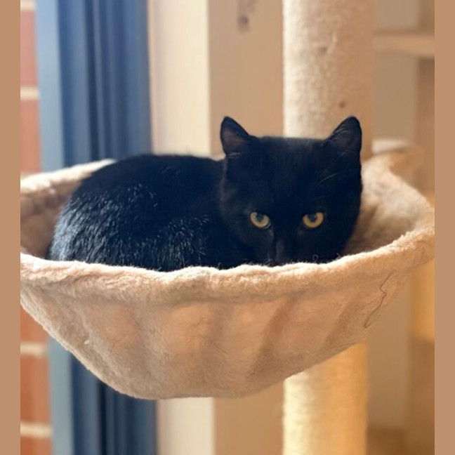 Photo of Max