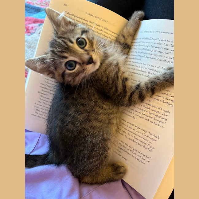 Photo of Hercules