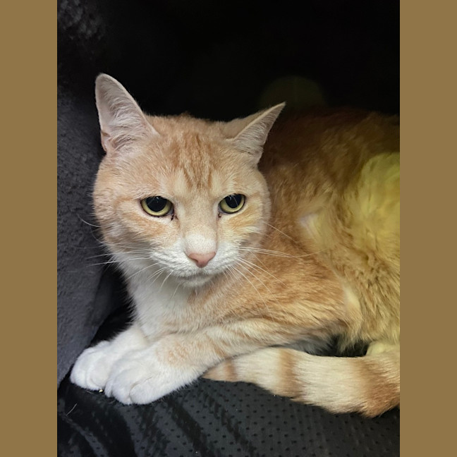 Photo of Dr. Goodlooking