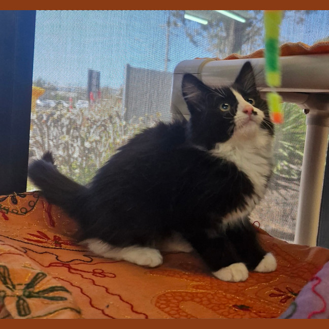 Photo of New Approach