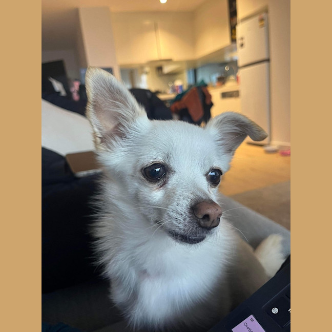 Photo of Maggie