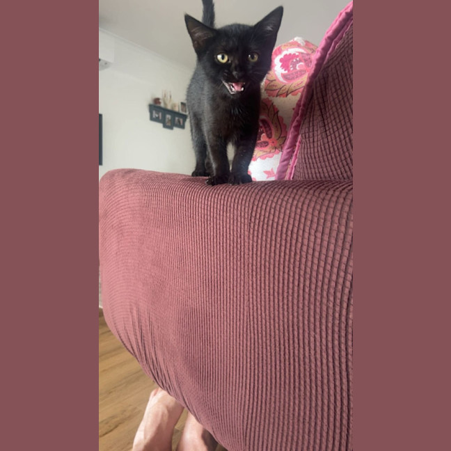 Photo of Jasmine