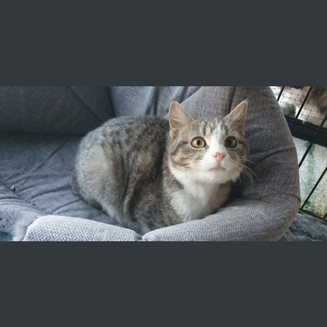 Photo of Teddy Bear 🧸