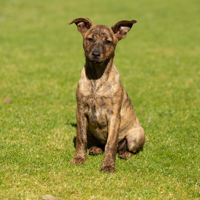 Photo of Tasha