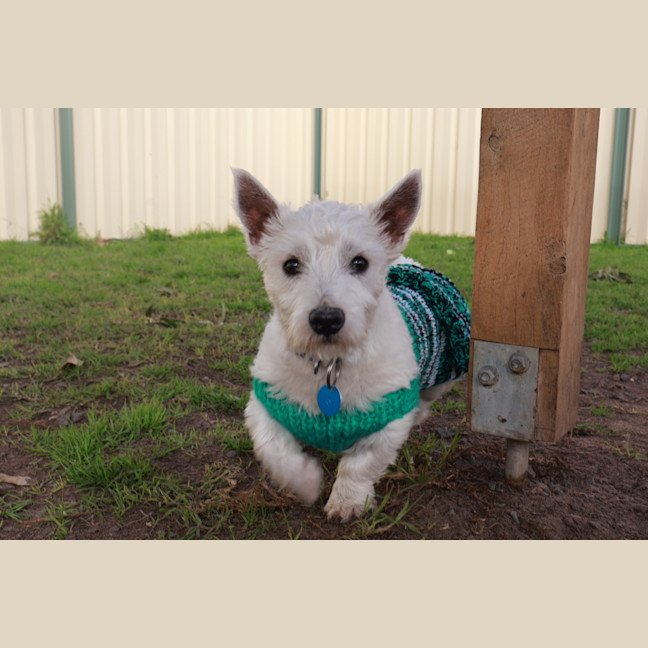 Photo of Winston