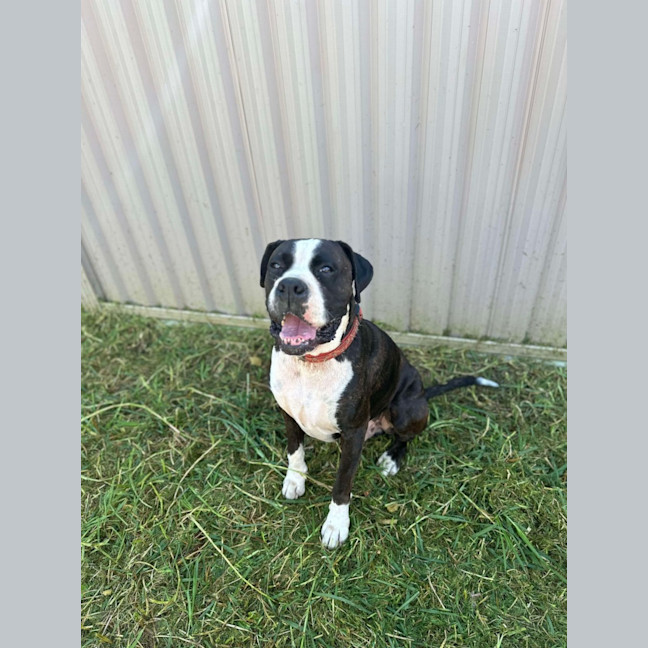 Photo of Axel