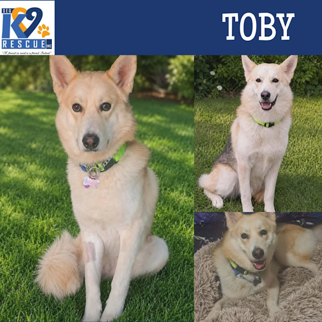 Photo of Toby