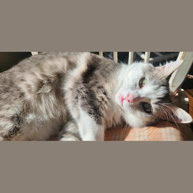 Photo of Penelope