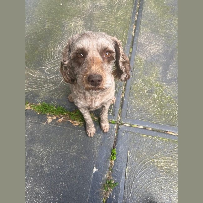 Photo of Charlie & Mei Mei