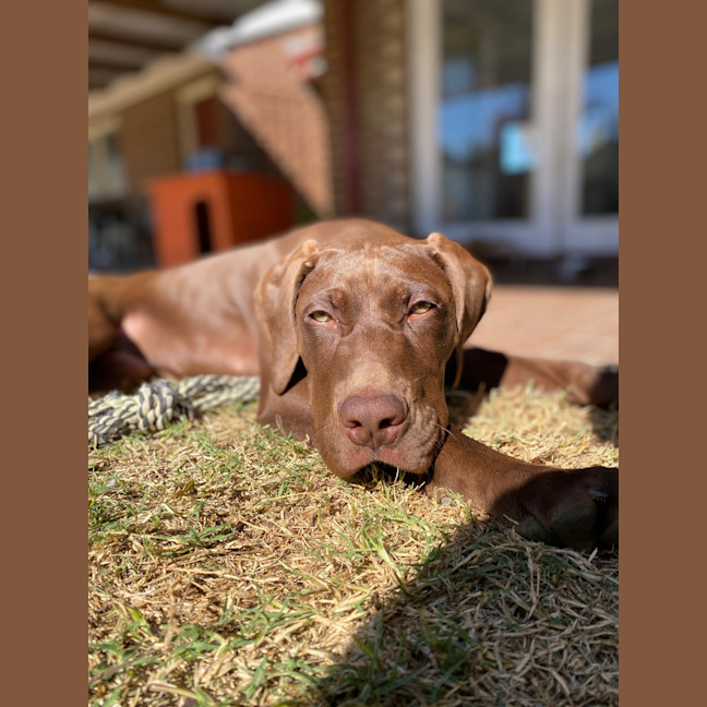 Photo of Gia