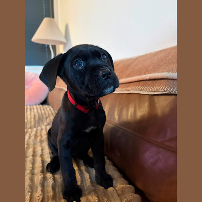 Photo of Maggie