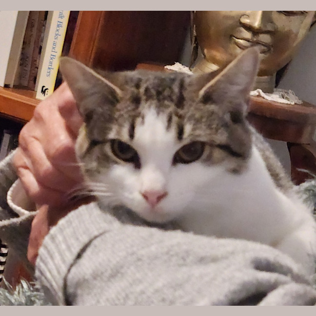 Photo of Tilly