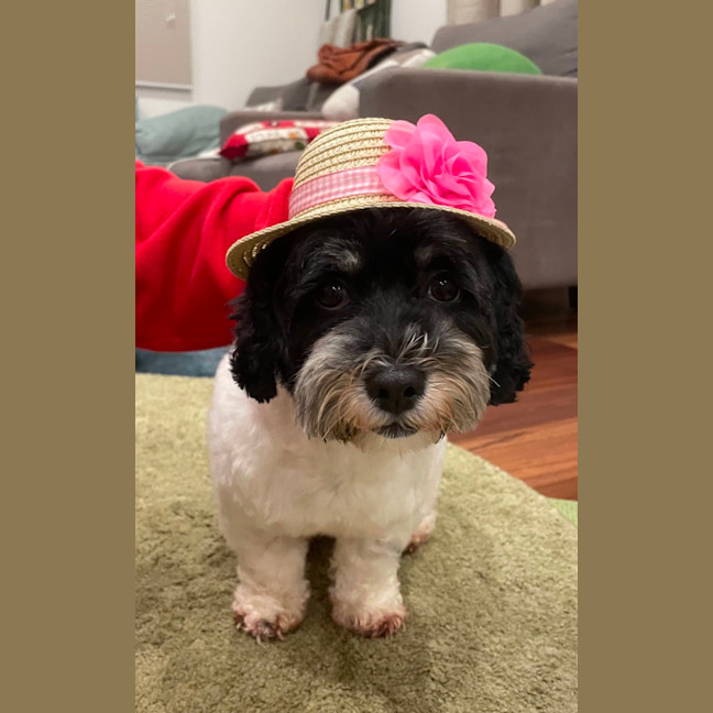 Photo of Rosie