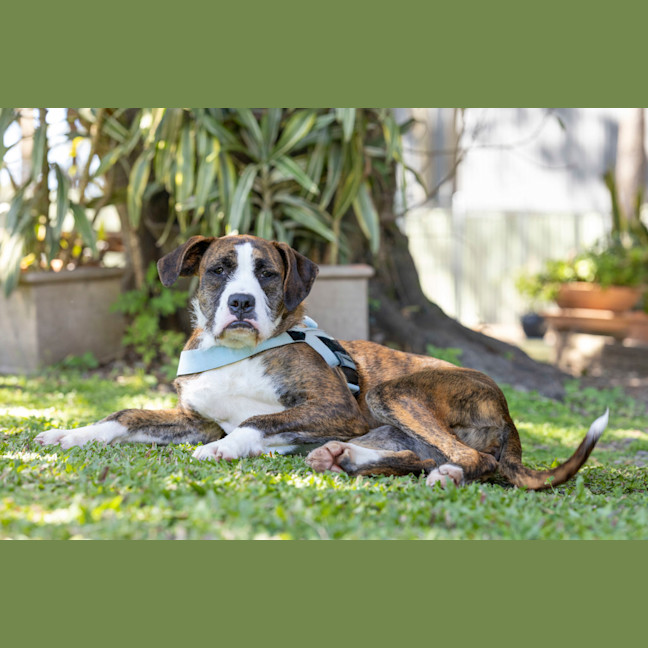 Photo of Luna Lovegood