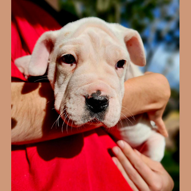 Photo of Zena