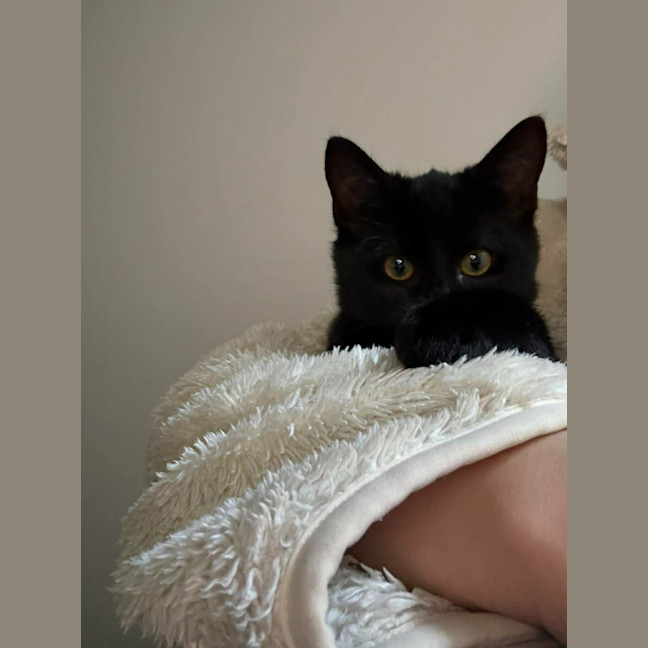 Photo of Poppy