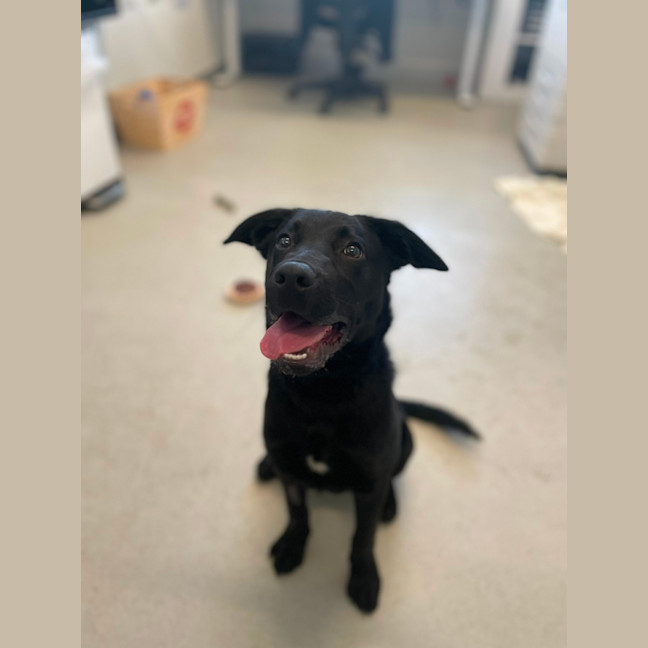 Photo of 🛴 Enzo 5574 🛴