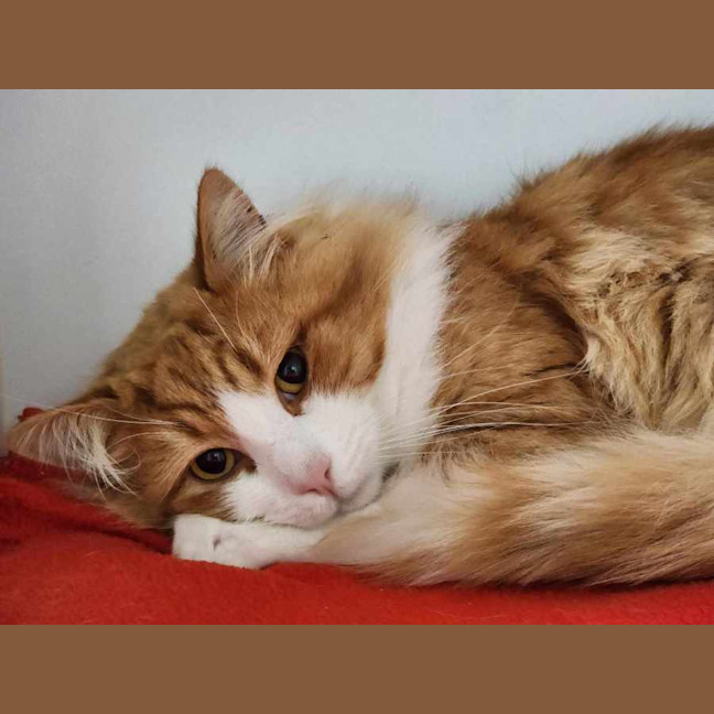 Photo of 🌵 Javier 6186 🌵