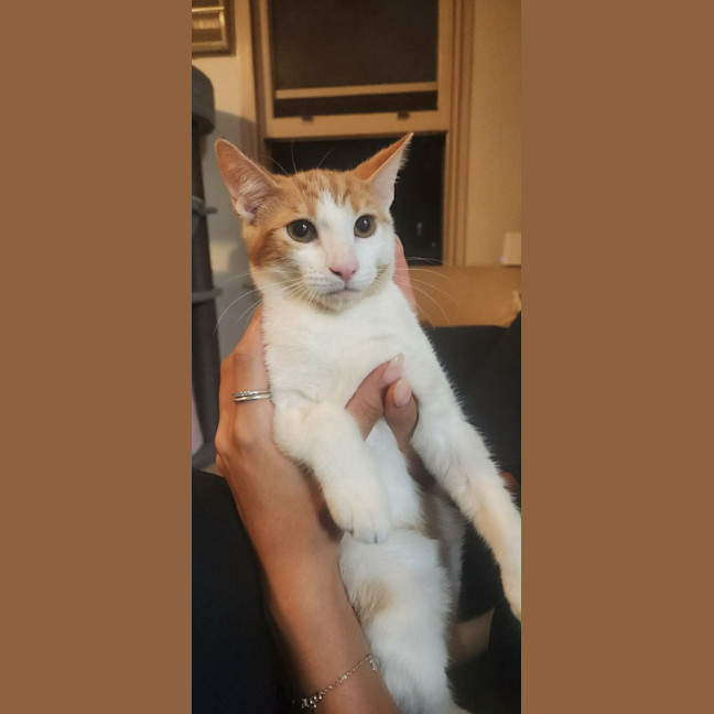 Photo of Ramen & Yara